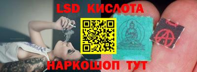 гидра Будённовск