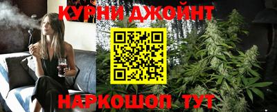 гидра Будённовск