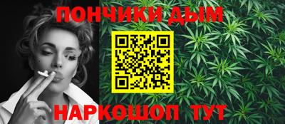 гидра Будённовск