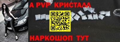 гидра Будённовск