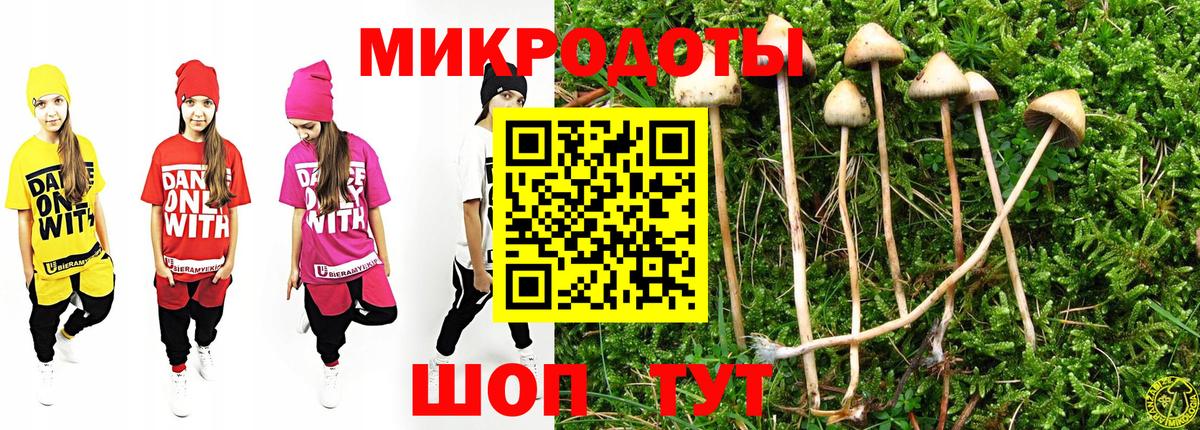 как найти закладки  Вход с VPN  Новоуральск  Псилоцибиновые грибы Magic Shrooms 